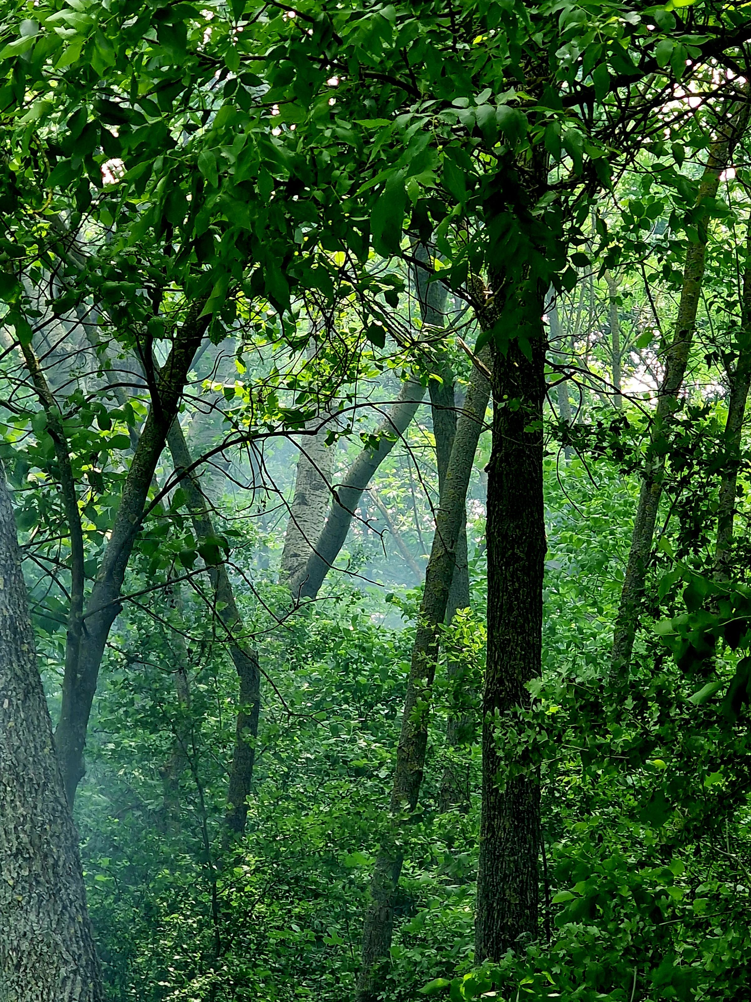 Reneszánsz Építő Kft.'s image